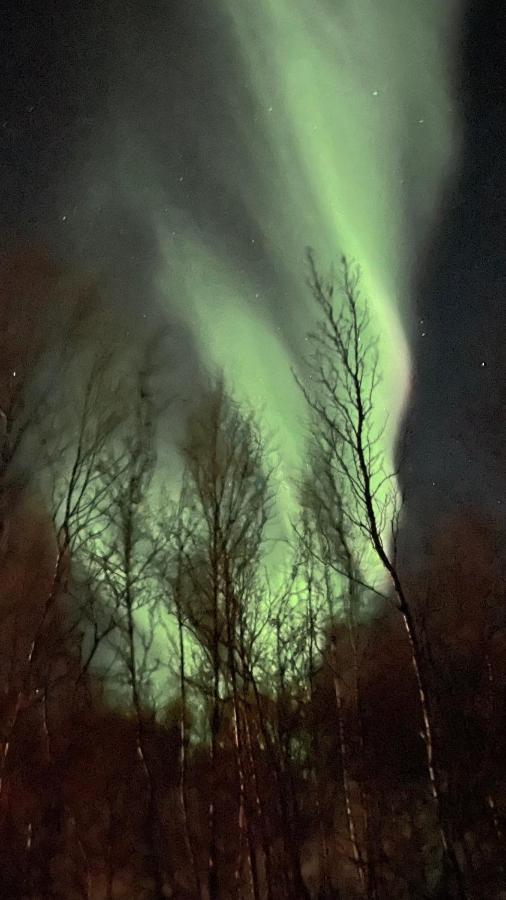 Stor Hytte I Olderfjord Russenes Exterior foto